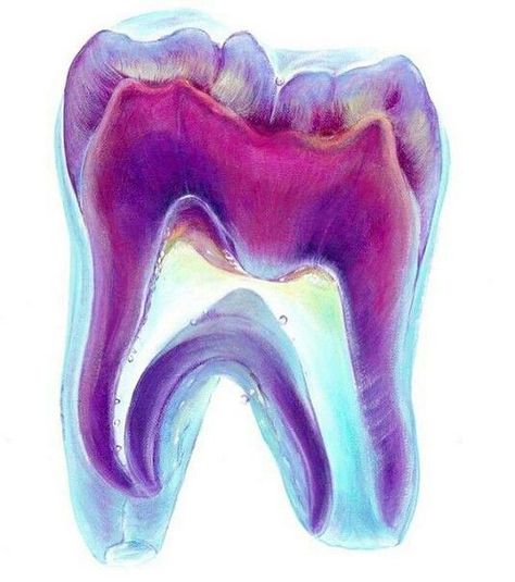 Supplyclinic.com  #Dentalart #Dentist #Art #tooth Dental Wallpaper, Dentist Art, Dental World, Dental Photography, Dental Hygiene School, Teeth Art, Dental Anatomy, Dental Fun, Dental Office Decor