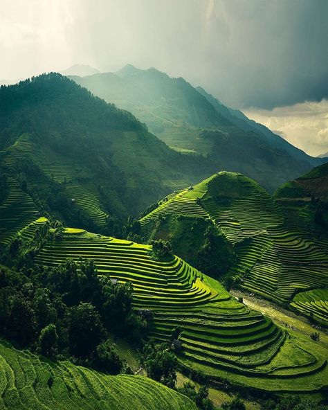 5,630 Likes, 60 Comments - LANDSCAPE & NIGHTSCAPE (@landscape_nightscape) on Instagram: “Selected: @gentianaibra • • 📷 Photography: @merveceranphoto • • • #mountains #landscape #instagood…” Nature, Asia Aesthetic, Buddhist Pagoda, Beautiful Vietnam, Wonderful Nature, North Vietnam, Richest In The World, Mountains Landscape, Aesthetic Picture