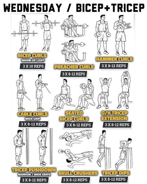 Bicep Workout Gym, Rock Workout, Arm Workout Men, The Rock Workout, Arm Workout Gym, Arm Workout Routine, Big Biceps Workout, Back And Bicep Workout, Bicep And Tricep Workout