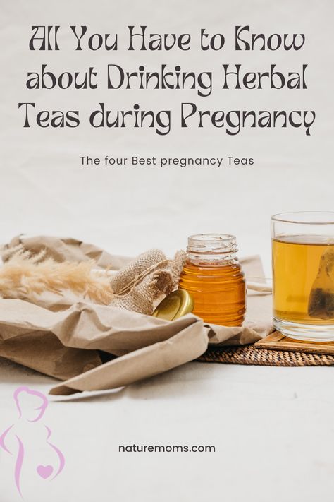 A pregnant woman needs to be very conscious of what she eats or drinks because whatever she takes will affect both her and her baby. Drinking certain kinds of tea are said to come with a number of health benefits to expectant mothers. In fact there are certain kinds of special teas that are formulated just to help support a healthy pregnancy. Mullein Tea, Pregnancy Tea, Herbal Tea Benefits, Chicken Of The Woods, Identify Plant, A Pregnant Woman, Herbal Healing, Herbs For Health, Tea Benefits