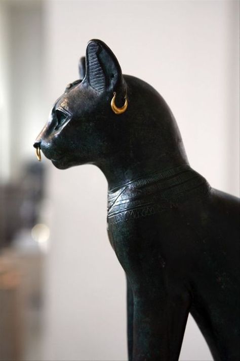 grandegyptianmuseum:Bastet, Gayer-Anderson Cat. Late Period, ca.... Egypt Cat, Bastet Goddess, Egyptian Aesthetic, Egyptian Cat Goddess, Egypt Aesthetic, Egyptian Cats, Egypt Museum, Goddess Aesthetic, Egyptian Cat