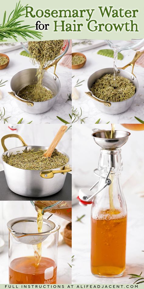 How to make rosemary water for hair growth infographic step-by-step. Pouring rosemary leaves into pot, pouring water into pot, infusing rosemary tea on stovetop, straining herbs, then pouring rosemary water into bottle for use. How To Make Rosemary Extract, Rosemary Leave In Spray, Hair Growth Thickening, Benefits Of Rosemary Water For Hair, Rosemary Oil Recipe Hair Growth, Rosemary Tonic For Hair, Adding Rosemary Oil To Shampoo, Rosemary Hair Oil Before And After, Detox Water For Hair Growth