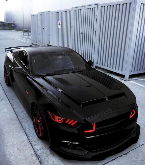 Bad-ass Ford Mustang Black Panthers, Xe Bugatti, Tmax Yamaha, Carros Lamborghini, Mobil Mustang, New Mustang, Ford Mustang Car, Auto Design, Custom Muscle Cars