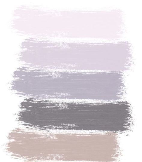 Pink Purple Paint, Office Revamp, Pilates Room, Lavender Color Palette, Grey Theme, Home Paint Color, Purple Palette, Purple Color Palettes, Flowers Images