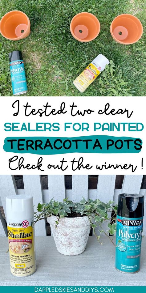 Test of two clear sealers to find the best sealer for painted clay pots. Painting A Clay Pot, Chalk Paint Terra Cotta Pots, Paint For Terra Cotta Pots, Diy Painting Terra Cotta Pots, Painted Clay Pots Ideas Diy, Painting Terra Cotta Pots Outdoor, Decorate Clay Pots Terra Cotta, How To Paint A Clay Pot, How To Decorate Terra Cotta Pots