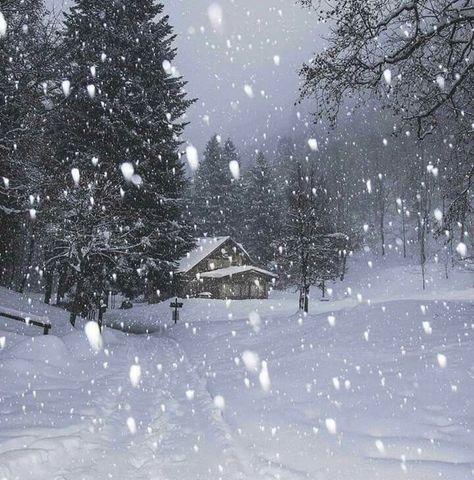 Snowy Scene, Snow Falling, I Love Snow, Snow Pictures, Winter's Tale, Winter Love, Winter Scenery, Winter Magic, Winter Beauty