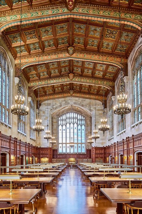 Most Beautiful Libraries, Brown Building, Beautiful Libraries, Beautiful Library, College Campus, University Of Michigan, College Fun, New York Public Library, School Library