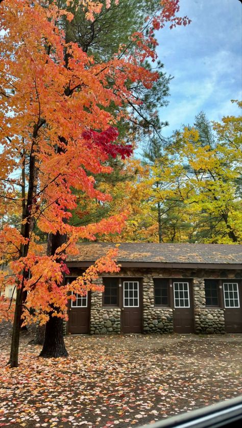 interlochen arts academy Interlochen Arts Academy, Practice Room, Dream School, Camping Art, Senior Year, Summer Camp, Summer 2024, Art School, Quick Saves