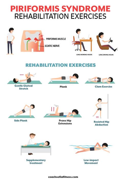 If you have piriformis syndrome that is aggravated by sitting or driving, make sure you are including some of these rehabilitation exercises into your routine. These exercises will strengthen your core, glutes, and increase hip mobility. Piriformis syndrome symptoms should decrease when you apply these exercises on a regular basis. Strengthen Piriformis Muscle, Hip Physical Therapy, Physical Therapy Hip Exercises, Hip And Glute Strengthening, Piriformis Syndrome Stretches, Deep Gluteal Syndrome, Hip Pt Exercises, Paraformus Stretches, Exercises To Strengthen Hip Joints