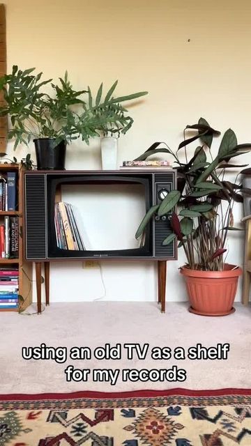 VINYLRECORDS | SOLER5 on Instagram: "Repurposing an old TV to store vinyl records? Yes, please! 📺💿 Would you try this at home? Let me know in the comments! 👇 

#VinylStorage #UpcyclingIdeas #VinylCommunity #VintageDecor #RecordCollectors #CreativeDIY #RetroVibes 
(Credits to prehistorytv on TikTok)" How To Store Records, Cute Ways To Display Vinyl Records, Diy Record Storage, Old Tv Record Holder, Folded Record Shelf, Vinyl Storage Ideas, Retro Vinyl Shelf, Now Playing Record Display, Cd Stand