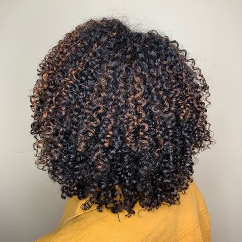 Black Hair Dye Ideas Highlights, Auburn Highlights For Black Hair, Brown Highlights On Black Hair Curly 4c, Natural Hair Highlights 4c, Highlights On Type 4 Natural Hair, Brown Highlights On Natural Hair, 4c Highlights Natural Hair, 4c Hair With Highlights, Pintura Highlights Curly Black Hair