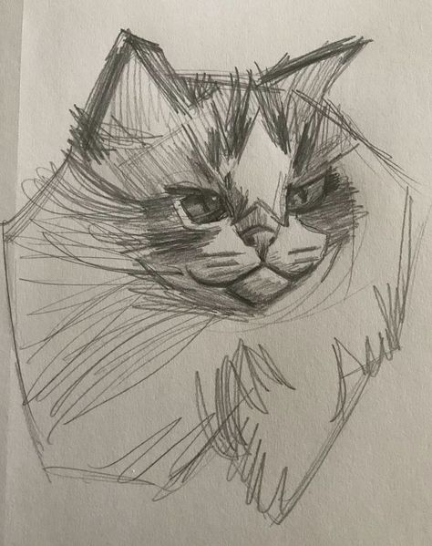 fluffy cat sketch Cat Drawing Fluffy, Fluffy Cat Sketch, Sketches Art Sketchbook, Scribble Drawing, Buddha Art Drawing, Sketches Art, Cat Sketch, Pencil Sketches, Buddha Art