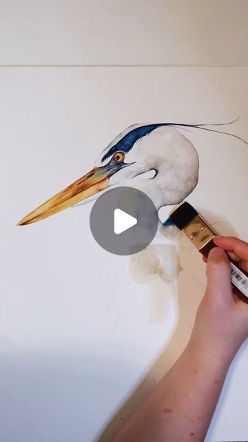 Watercolour Heron, Watercolor Birds Tutorial, Heron Watercolor, Bio Materials, Brush Techniques, Bird Watercolor Art, Heron Art, Painting Flowers Tutorial, Beach Art Painting