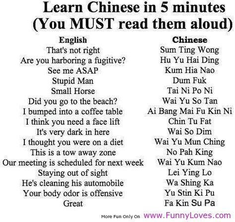 Funny Chinese Quotes, One Liner Jokes, English Jokes, Speak Chinese, How To Speak Chinese, Joke Of The Day, Funny Joke Quote, Funny Jokes For Adults, Learn Chinese