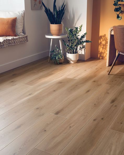 Natural Wood Look Vinyl Flooring, Light Wood Floor Colors, Light Wood Vinyl Flooring, Honey Colored Wood Floors, Boho Flooring Ideas, Light Brown Flooring Living Rooms, Living Room Flooring Ideas Vinyl, Coretec Blonde Oak, Floor Vynil Wood