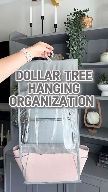 How To Organize Bags, Purses Organization Ideas, Dollar Tree Closet Organization, Bag Organizer Diy, Purse Storage Ideas, Dollar Tree Bathroom Organization, Diy Scarf Hanger, Dollar Tree Bathroom, Hanging Organization