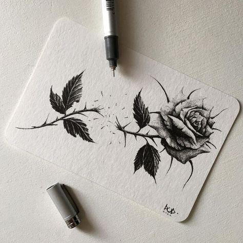 Ink rose flower Drawing. Withered Rose Drawing, Dark Rose Drawing, Wilted Rose Drawing, Dark Flowers Drawing, Shattered Tattoo, Wilted Rose Tattoo, Rose Ink Drawing, Dark Plant, Rose Drawings