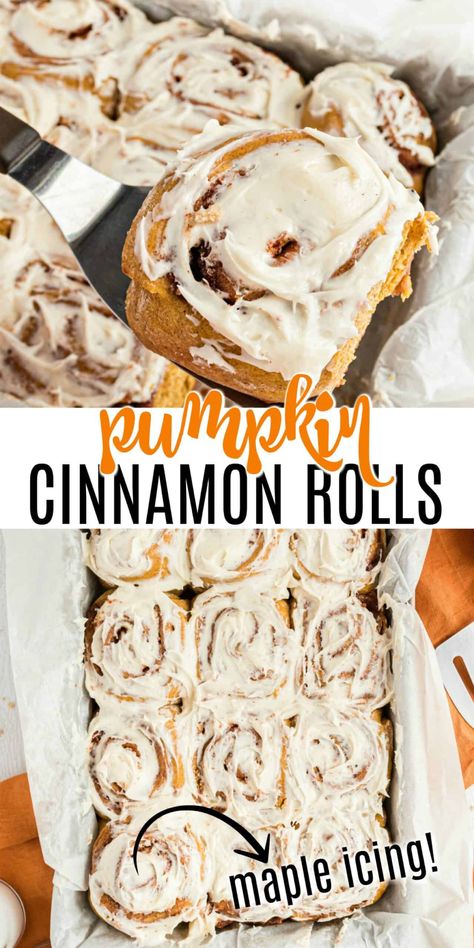 Easy Pumpkin Cinnamon Rolls, Pumpkin Chili Recipe, Maple Frosting, Pumpkin Cinnamon Rolls, Pumpkin Desserts, Fall Desserts Easy, Baked Rolls, Best Desserts, Pumpkin Pie Filling