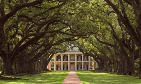 Top 5 Haunted Places in Louisiana as seen on TV - Blog Southern Plantations, Antebellum Mansions, New Orleans Plantations, Louisiana Plantations, Houses Architecture, Southern Mansions, Antebellum Homes, Southern Design, Anne Rice