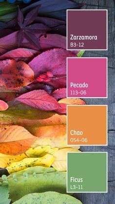 Current Color Trends 2023, Color Contrast Palette, Colors That Pop Together, Unusual Color Combinations Colour Palettes, Colour Pallete Inspiration 2023, Color Pallets 4 Colors, Color Palette Fuschia, 2023 Color Pallette, Indian Colour Palette Inspiration