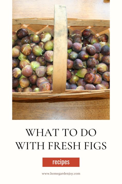 What to do with fresh figs? You can eat them fresh, of course, but how about making them into a cake? Enjoying them as a salad? Or poaching them into a delicious and inviting dessert? A roundup of recipes for fresh figs with links to help you grow your own figs! #figs #freshfigrecipes #recipes via @sevenoaksjeanne How To Cook Figs, What To Do With Fresh Figs, What To Make With Fresh Figs, Recipes Using Fresh Figs, What To Do With Figs, Fresh Fig Recipes, Fig Recipes Fresh, Figs Recipes, Making Strawberry Jam