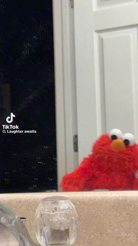 Muppets Funny, Elmo Videos, Elmo Memes, Elmo And Friends, Funny Cartoons Jokes, Spongebob Funny, Funny Pix, Vines Funny Videos, Weird Quotes Funny