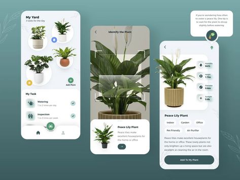 Plant App, Peace Lily Plant, Ux App Design, Plants Pet Friendly, Indoor Plant Care, Fertilizer For Plants, Office Plants, Plant Vase, House Plant Care