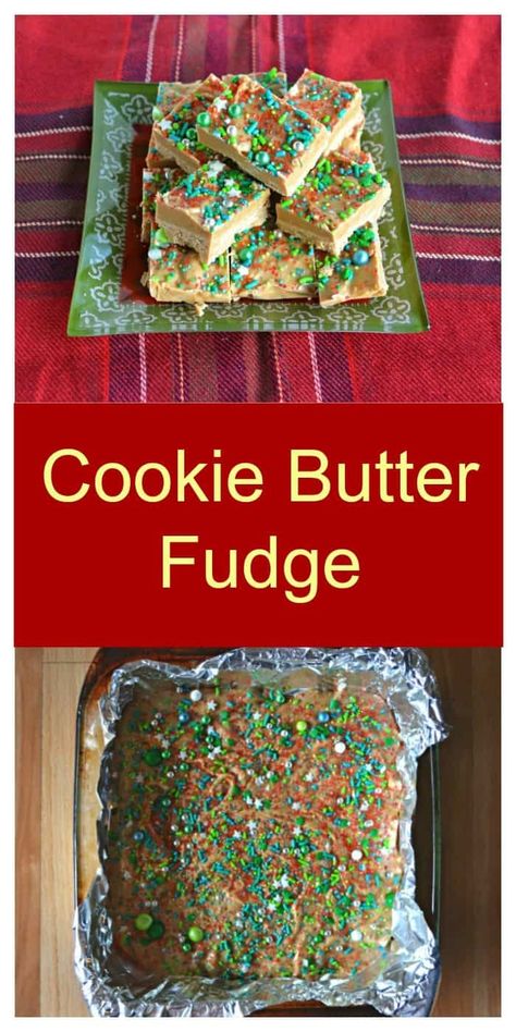 It only takes a handful of ingredients to make this awesome Cookie Butter Fudge. #fudgerecipes #dessertrecipes #cookiebutter | Cookie Butter | Cookie Recipes | Fudge Recipes | Dessert Recipes Easy Recipes | Quick Recipes Cookie Butter Fudge, Butter Cookie Recipes, 4 Ingredient Cookies, Butter Fudge Recipe, Chicory Recipe, Butter Fudge, Cookie Butter, Themed Desserts, Butter Cookies Recipe