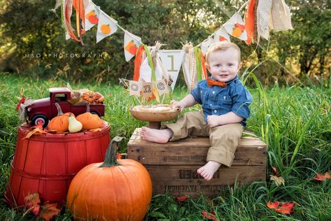 First Birthday photo shoot. Outdoor fall themed pictures. Pie smash, pumpkins, rustic birthday pictures. Pumpkin Pie First Birthday, Fall First Birthday, Fall 1st Birthdays, Birthday Pumpkin, Halloween First Birthday, Pumpkin 1st Birthdays, Pumpkin First Birthday, Rustic Birthday, 1st Birthday Pictures