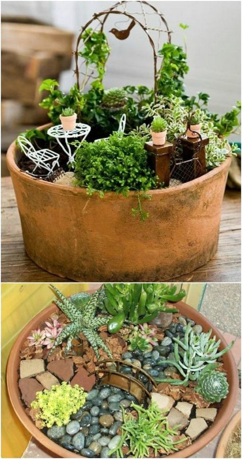 20 Magical DIY Fairy Gardens That Add Wonder To Your Home And Garden - Fairy gardens are so much fun and you just won’t believe how easy they are to make. In fact, I have collected 20 magical DIY fairy gardens that will help you to add wonder to your home and garden. #diy #crafts #decorating #garden #home #fairygardens #handmade #repurpose Fairy Garden Ideas Diy, Fairy Garden Pots, Indoor Fairy Gardens, Fairy Garden Plants, Succulent Garden Design, Fairy Garden Crafts, Fairy Garden Designs, Succulent Garden Diy, Mini Fairy Garden