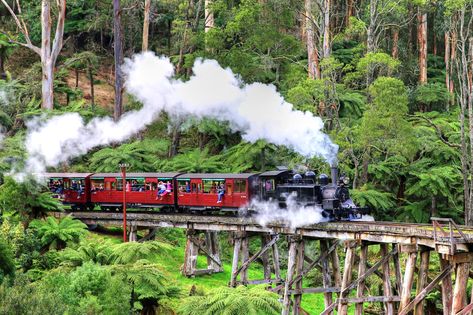 Puffing Billy, Melbourne Trip, Melbourne Travel, Australia Melbourne, Yarra Valley, Australian Architecture, Wine Tour, Beautiful Places In The World, Best Cities