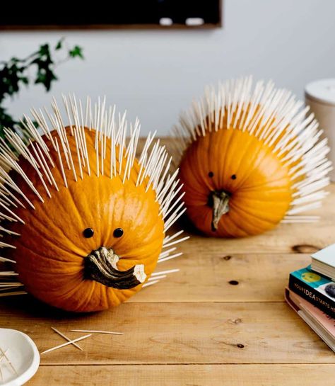 Pumkin Decoration, Creative Pumpkin Decorating, Cute Pumpkin Carving, Dekorasi Halloween, Pumpkin Decorating Contest, No Carve Pumpkin Decorating, Labu Halloween, Creative Pumpkin Carving, Halloween Pumpkin Designs