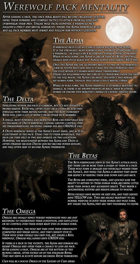 Lycan Vs Werewolf, Vampires Vs Werewolves, Pack House Werewolf, Werewolf Family Art, How To Write A Werewolf, Werewolf Hierarchy, Skyrim Werewolf Art, Werewolf Pack House, Werewolf Pack Aesthetic