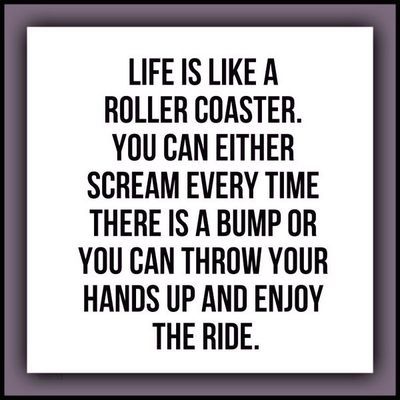 "Life is like a roller coaster. You can either scream every time there is a bump or you can throw your hands up and enjoy the ride." Coaching Quotes, Now Quotes, Enjoy The Ride, Funny Life, E Card, Quotable Quotes, Life Advice, A Quote, Roller Coaster