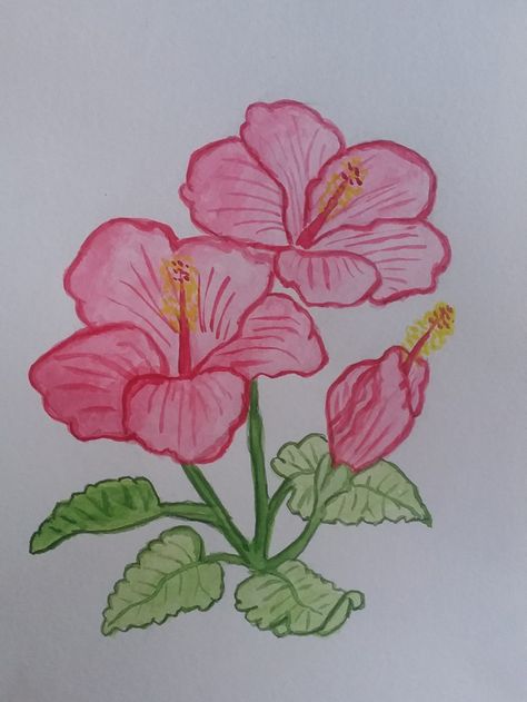 Hibiscus Flower Painting Acrylics Easy, Easy Line Paintings, Hibiscus Flower Drawing Watercolor Painting, Painting Ideas Hibiscus, Flawores Drawing, Chinese Hibiscus Flower, Hibiscus Flower Doodle, Flowers Sketch Easy, Drawing Of Hibiscus Flower