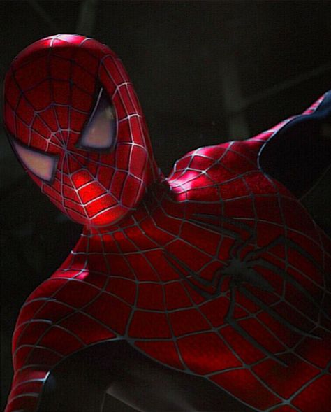 Nike Spiderman, Spiderman Sam Raimi, Spiderman Trilogy, Spiderman Icons, Raimi Spiderman, Spiderman Design, Spiderman 2002, Spiderman 4, Spiderman No Way Home