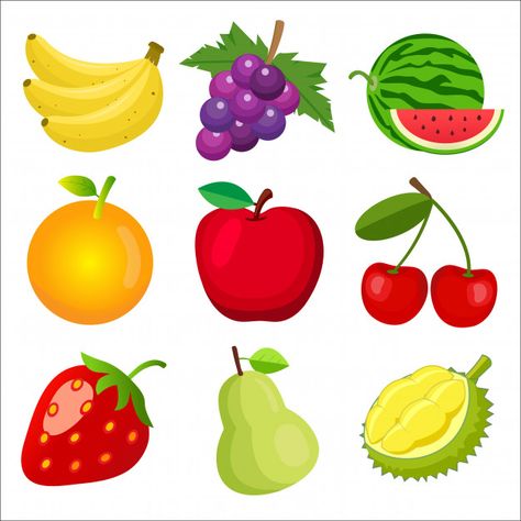 Set of fruits for children learning words and vocabulary. Premium Vector | Premium Vector #Freepik #vector #baby #card #book #kids Toddler Learning Activities, Nature Logo Design, Fruit Icons, Fruit Cartoon, Modern Business Cards Design, Fruits Images, Shop Logo Design, Animal Alphabet, Modern Business Cards