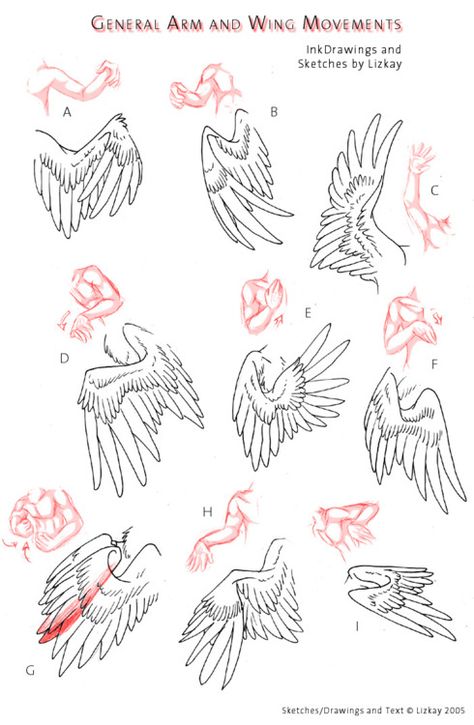 Drawing tutorial - arms and wings repinned by www.BlickeDeeler.de Wing Drawing, رسم كاريكاتير, Tutorial Drawing, Drawing Hands, Wings Drawing, Drawing Hair, Drawing Eyes, Siluete Umane, Cross Hatching