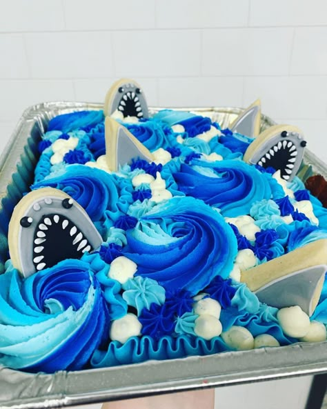 Shark Cookie Cake, Shark Sheet Cake, Shark Cupcake Cake, Shark Cake Ideas, Beach Desserts, Sassy Cakes, Shark Cakes, Hawaiian Cookies, Pictures Of Cakes