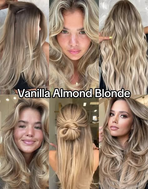 Is vanilla almond blonde hair right for you? Explore how this soft, neutral blonde shade complements cool and warm undertones. Hair For Warm Undertones, Vanilla Almond Blonde, Almond Blonde Hair, Almond Blonde, Healthy Blonde Hair, Best Blonde Hair, Perfect Blonde Hair, Honey Blonde Hair Color, Summer Blonde Hair