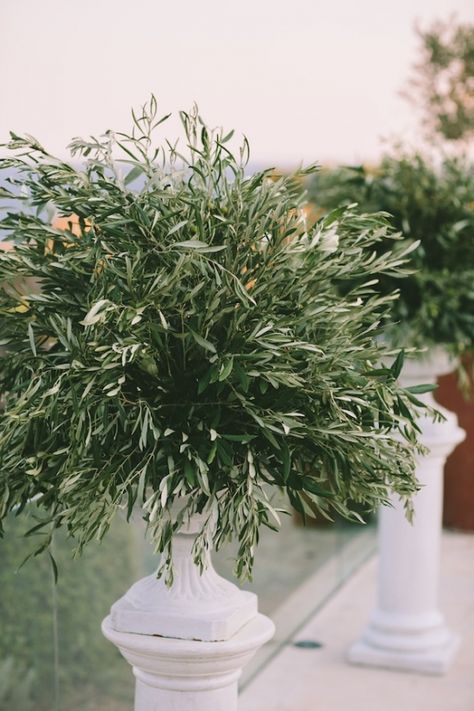 0178 Mediterranean Wedding Flowers, Olive Arrangement, Mediterranean Wedding Decor, Olive Tree Wedding, Boutique Events, Vintage Mediterranean, Olive Branch Wedding, Natural Wedding Decor, Olive Wedding