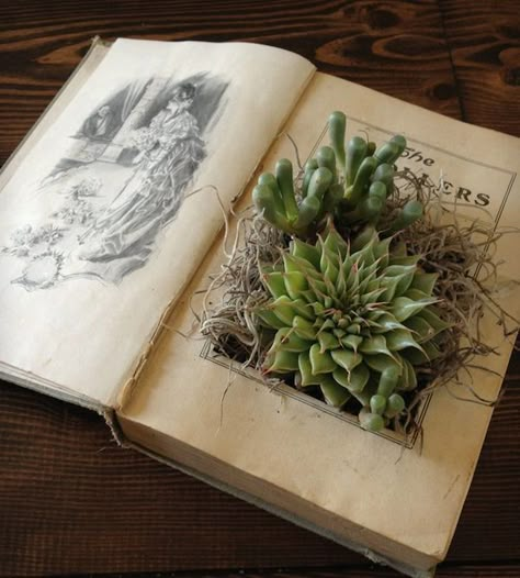 Diy Vintage Books, Old Book Art, معرض فني, Old Book Crafts, نباتات منزلية, An Open Book, Upcycle Books, Cactus Y Suculentas, Cool Ideas