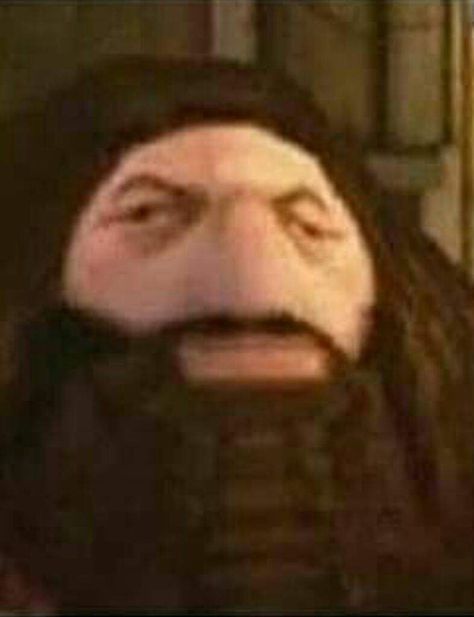 Ps1 Hagrid Ps1 Hagrid, Harry Potter Curses, Harry Potter Painting, Hello Memes, Funny Harry Potter Jokes, Harry Potter Images, Funny Comic, Harry Potter Pictures, Harry Potter Films