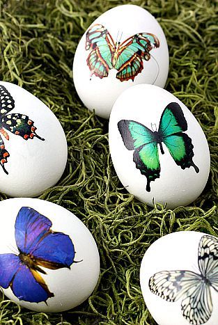 Simple Easter Egg Designs, Easter Egg Ideas, Easter Egg Decorating Ideas, Egg Decorating Ideas, Decorating Eggs, Unique Easter Eggs, Diy Easter Eggs, Creative Easter Eggs, Easy Diy Ideas