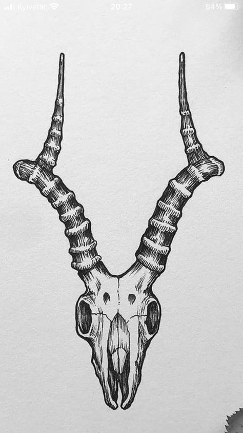 Horned Goat Tattoo, Cow Skull Reference, Antelope Skull Drawing, Impala Tattoo Animal, Gazelle Skull Tattoo, Ramskull Tattoo Design, Horned Skull Tattoo, Animal Skull Drawing Reference, Goat Horn Tattoo