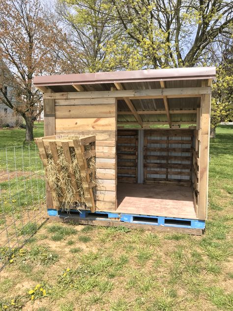 Pallet Pens For Goats, Animal Shed Ideas, Cow Pens Ideas, Sheep House Diy, Goat Hut Ideas, Goats House Ideas, Small Goat Pen, Small Goat Pen Ideas, Mini Goat Shelter