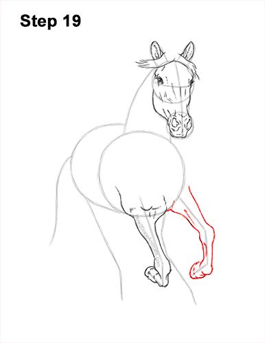 Draw Horse Running Forward 19 Realistic Horse Sketch Step By Step, How To Draw A Realistic Horse, Running Front View, Drawing Theory, Draw Horse, Horse Drawing Tutorial, Horse Items, Draw A Horse, Drawing Proportions