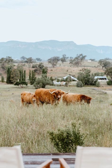 Warramba - Luxury Australian Farm Retreat - Farm stays for Rent in Glen Alice, New South Wales, Australia - Airbnb Australian Country Aesthetic, Australian Countryside, Australian Homestead, Farm Retreat, Farm Aesthetic, Australian Farm, Australia Country, New South Wales Australia, Farm Stay