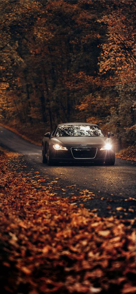 Wallpaper 39 - 9GAG Porsche Cayman 987, Samsung Wallpapers, Tmax Yamaha, Audi A, Car Iphone Wallpaper, Black Audi, 1969 Dodge Charger, Sports Car Wallpaper, Audi R8 V10