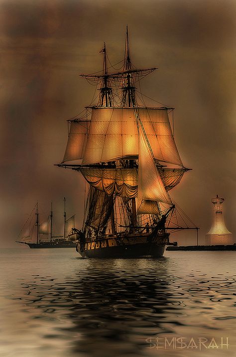 Tall Ships heading into Hamilton / flickr photo sharing Navi A Vela, Old Sailing Ships, Clipper Ship, Pirate Art, Sailing Vessel, Ship Paintings, Pirate Life, Tall Ships, Pirate Ship